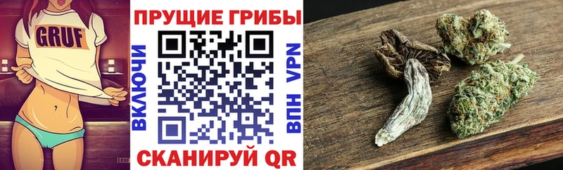 Псилоцибиновые грибы Psilocybe  omg зеркало  Белоозёрский  закладки 