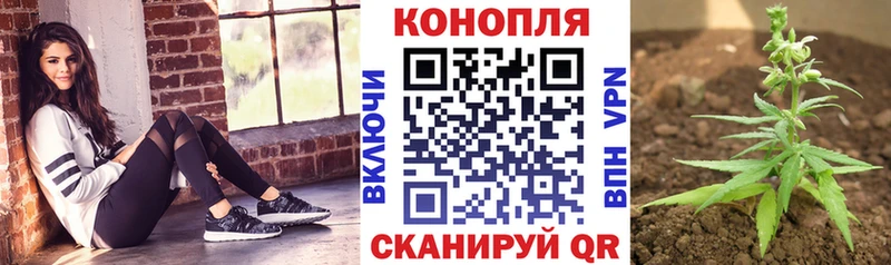 сколько стоит  Белоозёрский  Каннабис THC 21% 
